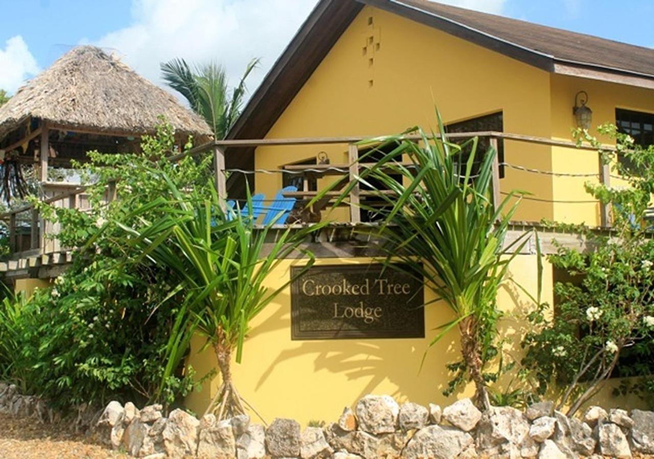 Crooкed Tree Lodge Belize Crooked Tree Dış mekan fotoğraf