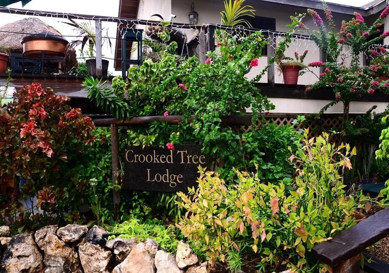 Crooкed Tree Lodge Belize Crooked Tree Dış mekan fotoğraf