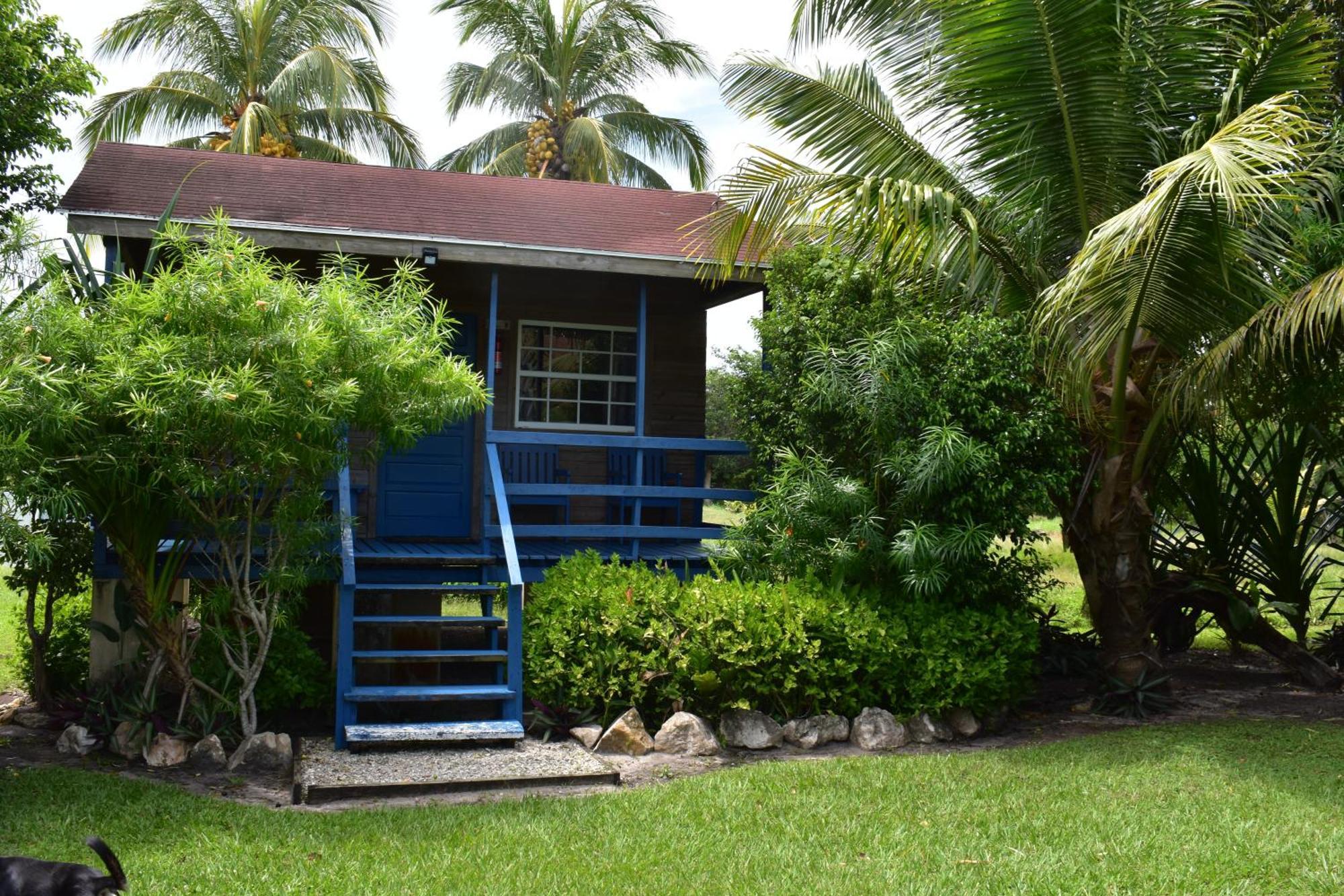 Crooкed Tree Lodge Belize Crooked Tree Dış mekan fotoğraf